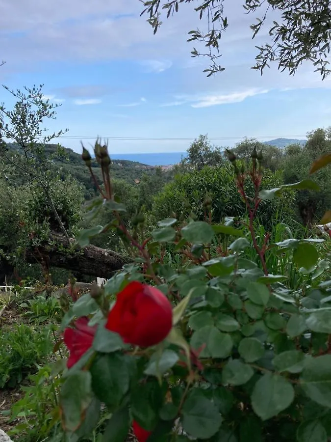 Casa Belvedere Diano San Pietro 0*,  Italien